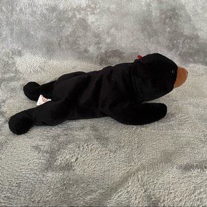 Beanie Baby 8” Blackie the Bear Bean Plush